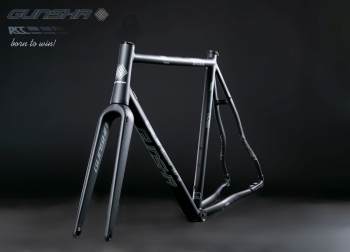 Frameset RCC 4.0 Disc