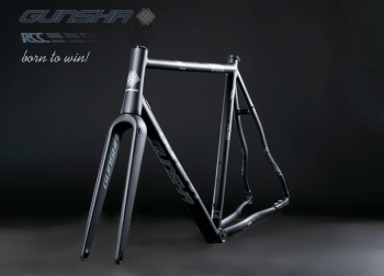 Frameset RCC 4.0 Version Cantilever