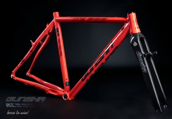 Frame RCC 4.0 Canti (Frame only)